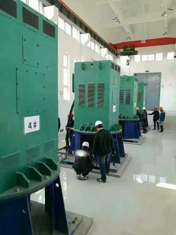 Y450-2A某污水处理厂使用我厂的立式高压电机安装现场