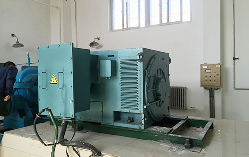 Y450-2A某水电站工程主水泵使用我公司高压电机