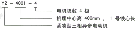 YR系列(H355-1000)高压Y450-2A三相异步电机西安西玛电机型号说明